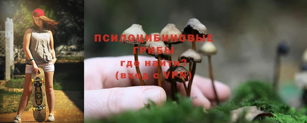 дурь Армянск